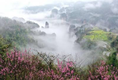 候鳥的選擇，彰顯湖南生態(tài)系統(tǒng)持續(xù)優(yōu)化